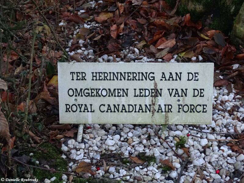 03wittemcrashsitewoe20dec23.jpg