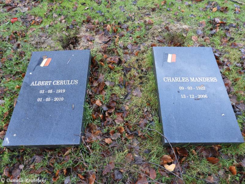 04BrusselsTownBELVETWO2do4feb21.jpg
