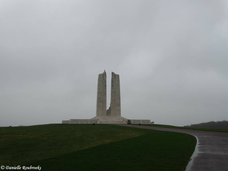 04Vimywoe8ma17.jpg