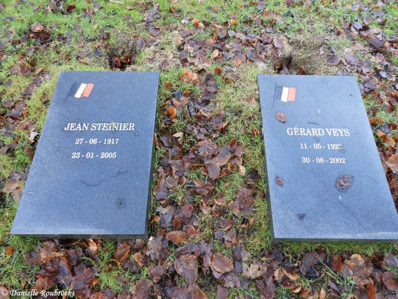 05BrusselsTownBELVETWO2do4feb21.jpg