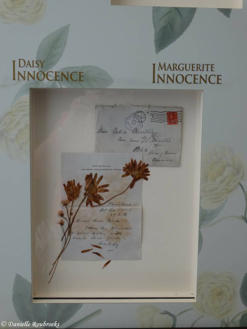 05VimyWarFlowerszo15jul18.jpg