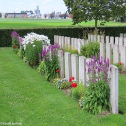 06-divisional-collecting-post-do11jul24-standard.jpg