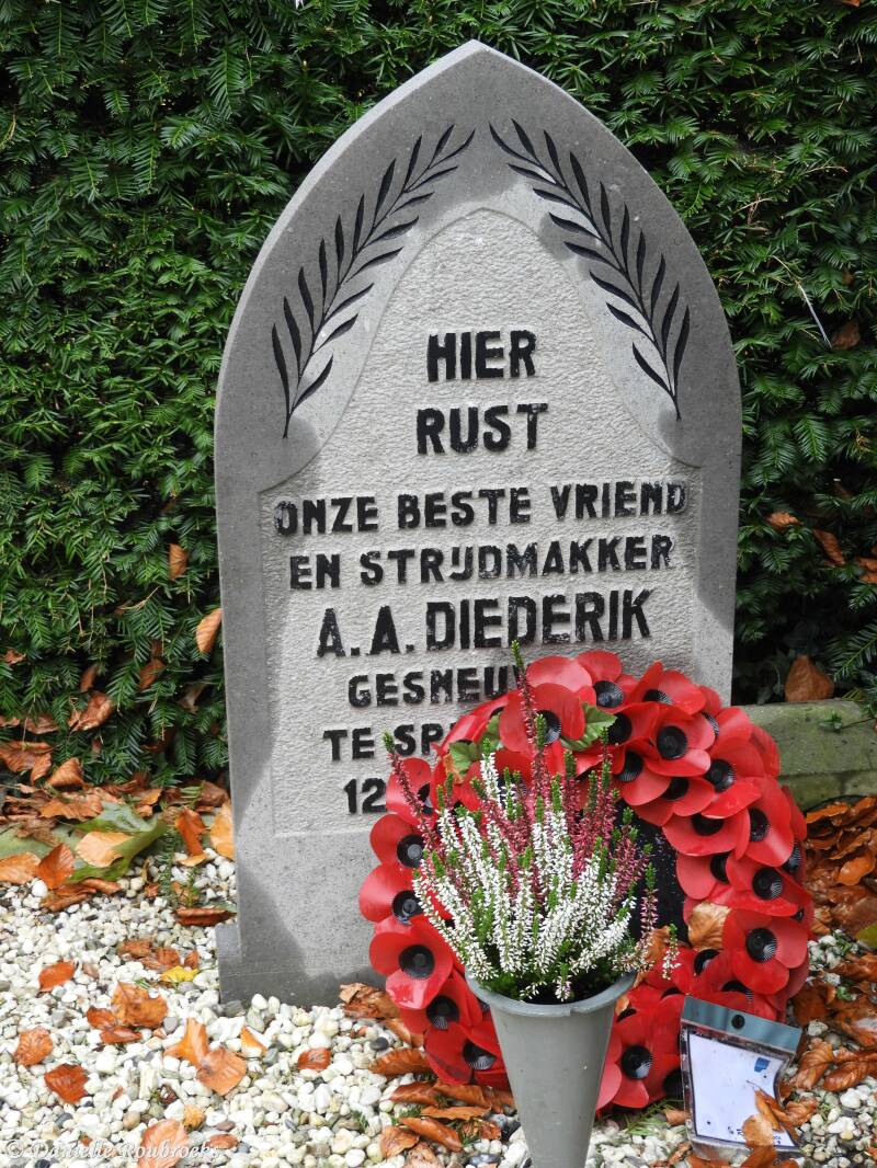 08SpijkenisseGeneralCemeteryzo5nov17.jpg