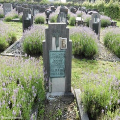 06HechtelCommunalvr9jul21.jpg