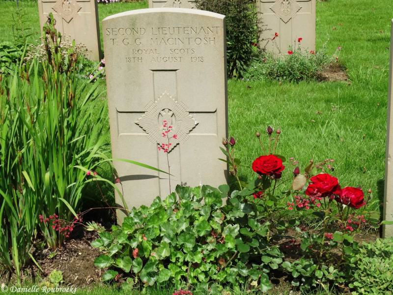09LePeuplier.jpg