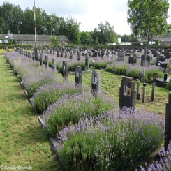 09HechtelCommunalvr9jul21.jpg