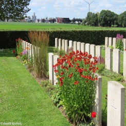 10-divisional-collecting-post-do11jul24-standard.jpg
