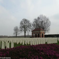 10TilloyBritdi6feb18.jpg