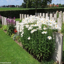 12-divisional-collecting-post-do11jul24-standard.jpg