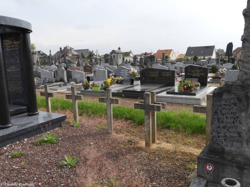 13Villers-BretonneuxComma14mei18.jpg