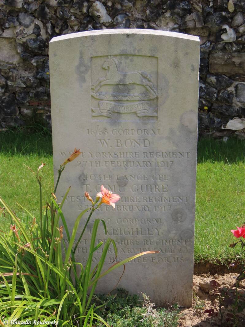 19-owl-trench-hebuterne-ma15jul24-standard.jpg
