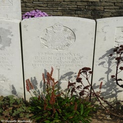 11TenTreeAlleyCemeterydi21sep21.jpg