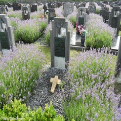 11HechtelCommunalvr9jul21.jpg