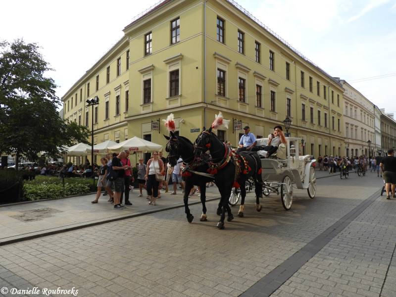 20Krakowaug18.jpg