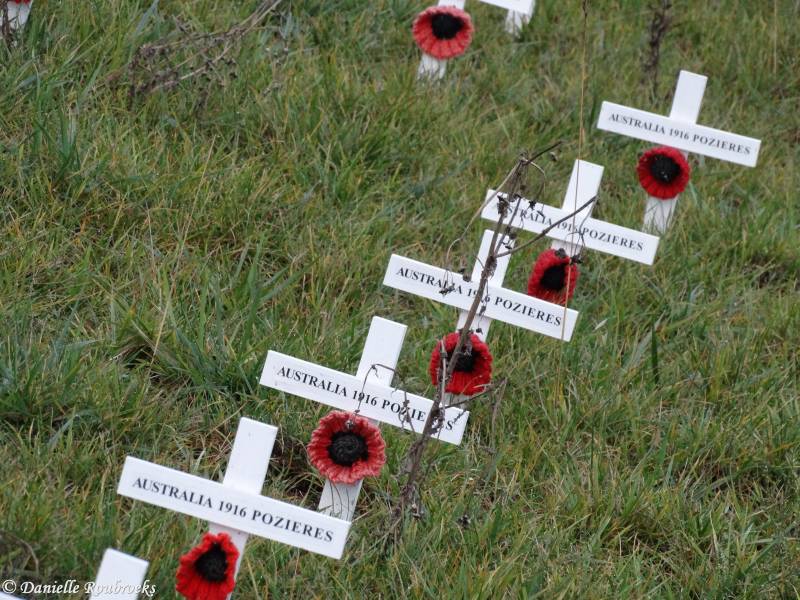 24PoziresWindmillsitewoe19okt16.jpg