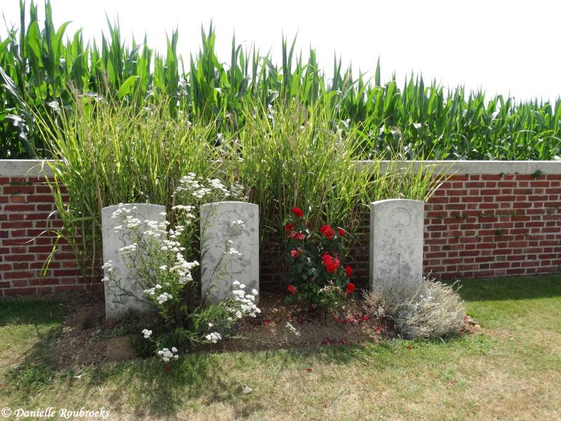 29SunkenRoadCemeterywoe17jul19.jpg