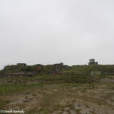 109bunkerdagzo5jun22.jpg