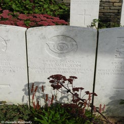43TenTreeAlleyCemeterydi21sep21.jpg