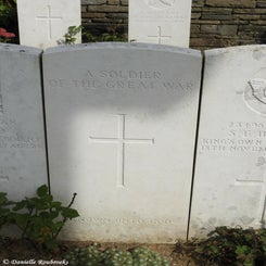 41TenTreeAlleyCemeterydi21sep21.jpg