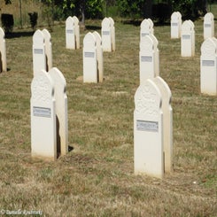 18cutsfma4jul22.jpg