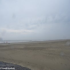 34bunkerdagzo5jun22.jpg