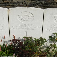 54TenTreeAlleyCemeterydi21sep21.jpg