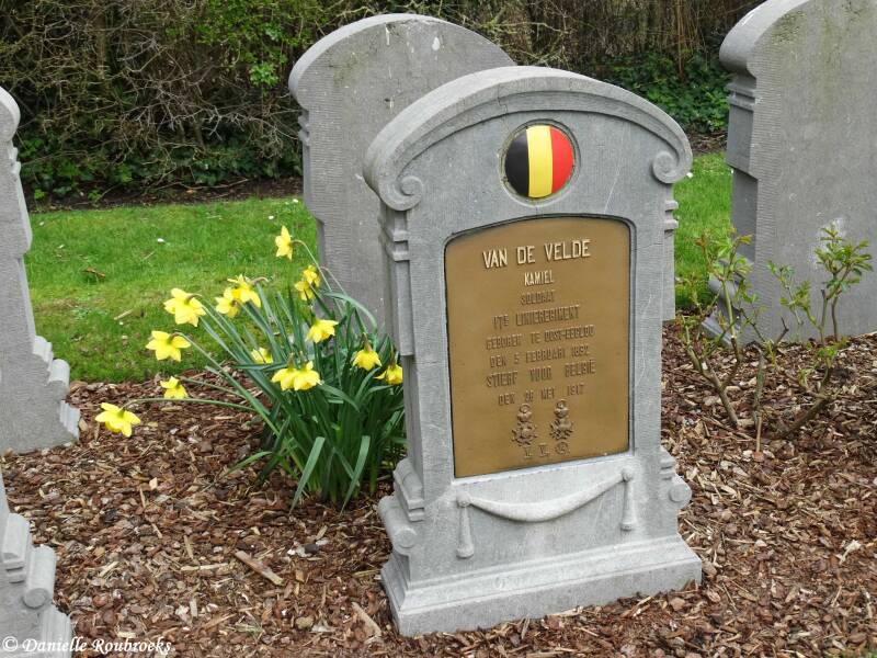 32OerenBelgdi19ma19.jpg