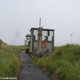 73bunkerdagzo5jun22.jpg