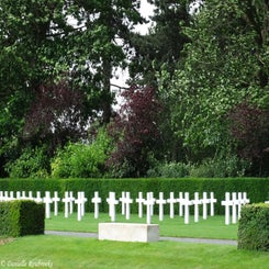 22FlandersField.jpg