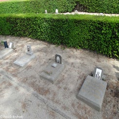 07Wespelaar.jpg