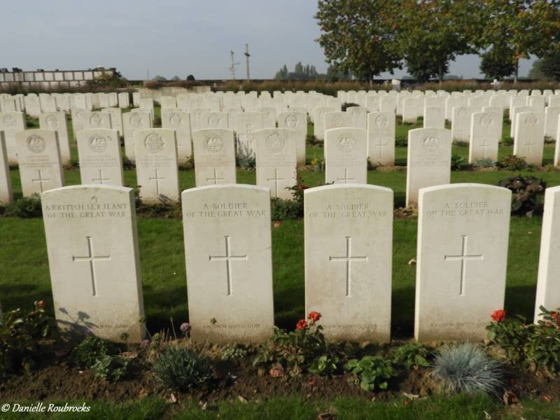 41DadizeleNew.jpg