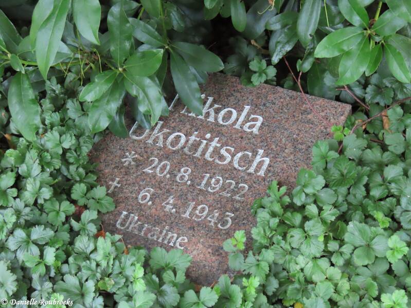 49-oldenburg-ammerl-nder-friedhof-woe24jul24-standard.jpg