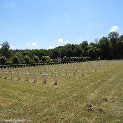 12cutsfma4jul22.jpg