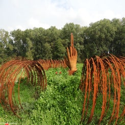 10Vredesbos26sep17.jpg