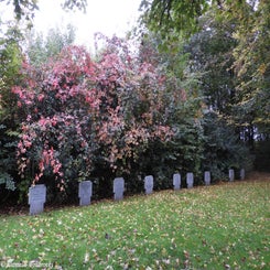 24Fournes-en-WeppesDdi15okt19.jpg