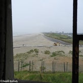 70bunkerdagzo5jun22.jpg