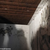 78bunkerdagzo5jun22.jpg
