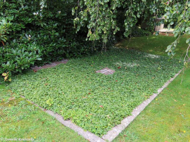 50-oldenburg-ammerl-nder-friedhof-woe24jul24-standard.jpg