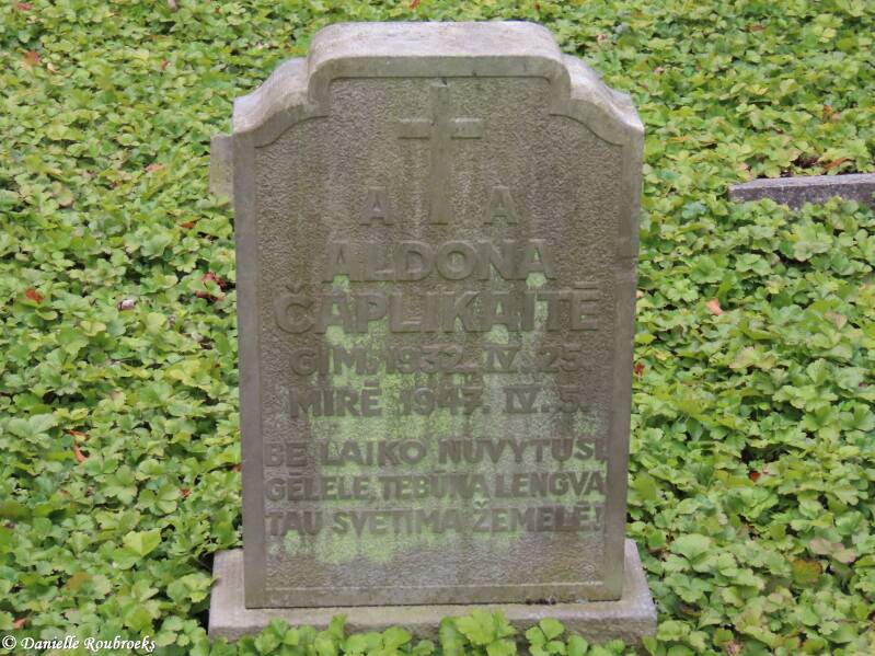 55-oldenburg-ammerl-nder-friedhof-woe24jul24-standard.jpg