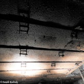 15bunkerdagzo5jun22.jpg