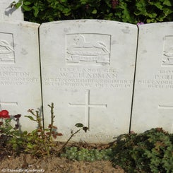 33TenTreeAlleyCemeterydi21sep21.jpg