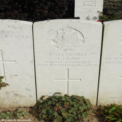 20TenTreeAlleyCemeterydi21sep21.jpg