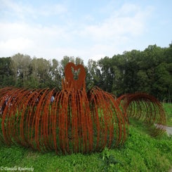 45Vredesbos26sep17.jpg