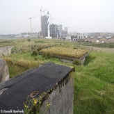 59bunkerdagzo5jun22.jpg