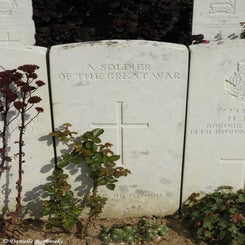 21TenTreeAlleyCemeterydi21sep21.jpg