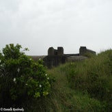 49bunkerdagzo5jun22.jpg