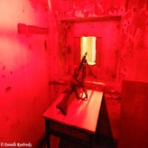 07bunkerdagzo5jun22.jpg