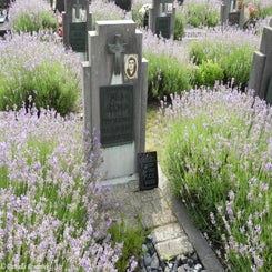 13HechtelCommunalvr9jul21.jpg
