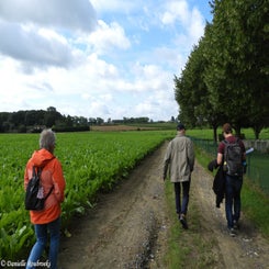 08Ieperwandelingza31jul21.jpg
