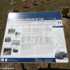 05cutsfma4jul22.jpg